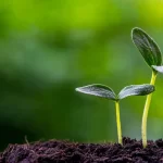 Motivation and Learning Contexts